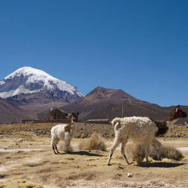 ¿Vale la pena agregar Arequipa, Colca o Puno si viajo desde Chile?