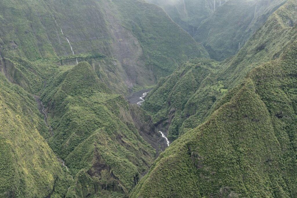 Climate of the Jungle