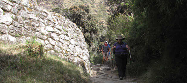 Rede De Caminhos Inca