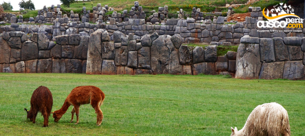 Sacsayhuaman