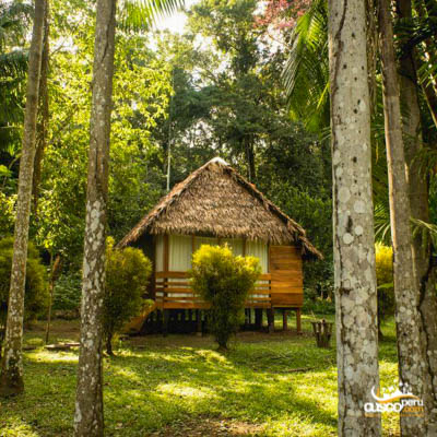 Tour Tambopata Lodge Expedicion Amazonas