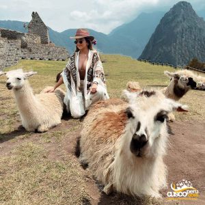 chica en machupicchu con llamas tours en machu picchu