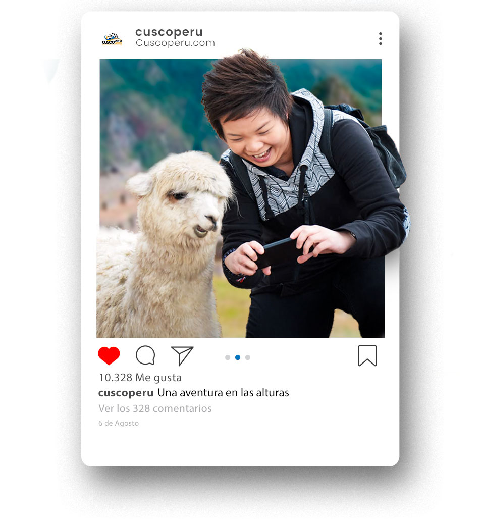 Llamita Instagram Cuscoperu Español