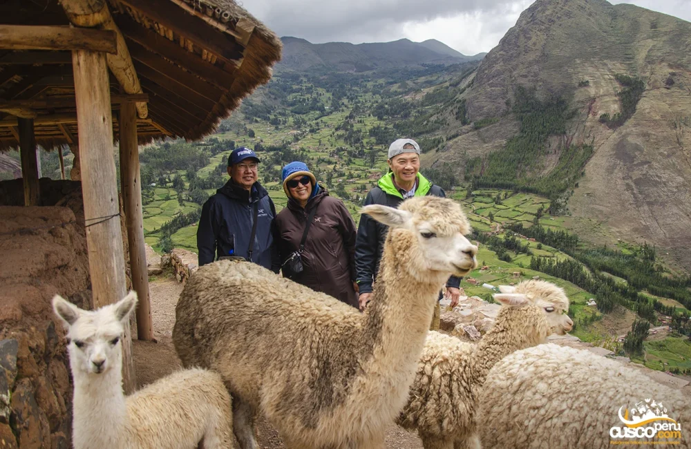 Vive la experiencia de visitar Pisac