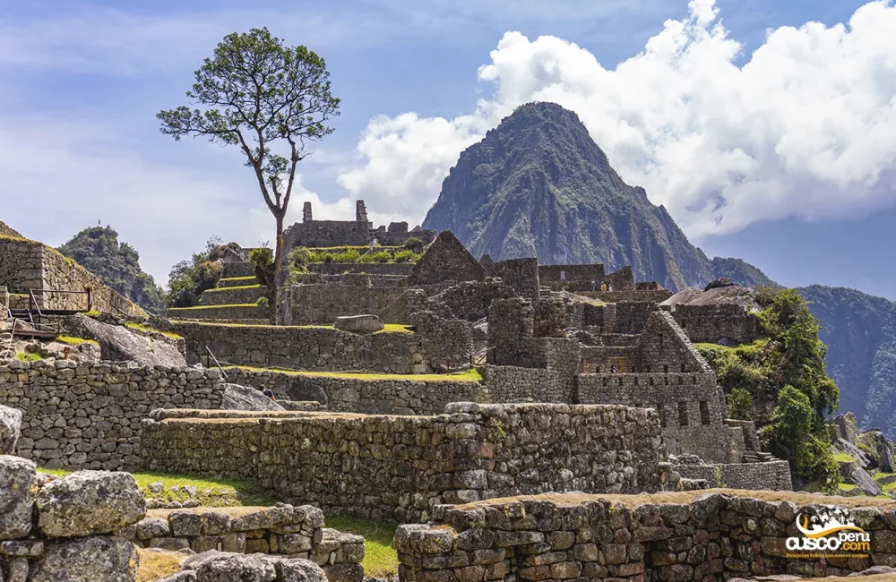Urban sector of Machu Picchu - Travel to Machu Picchu with cheap tour