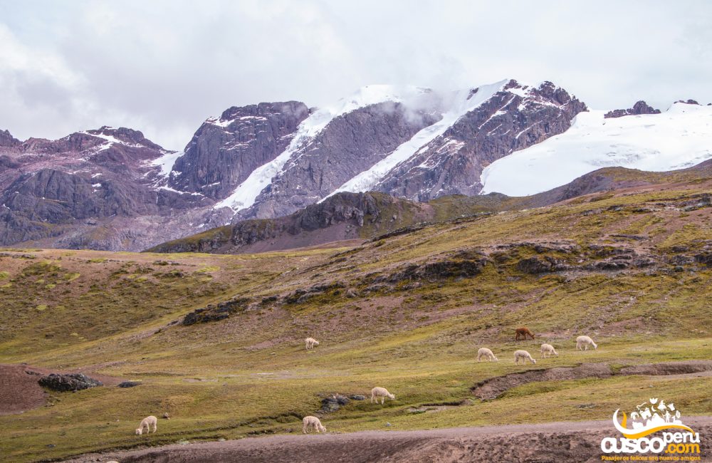 Montaña Vinicunca