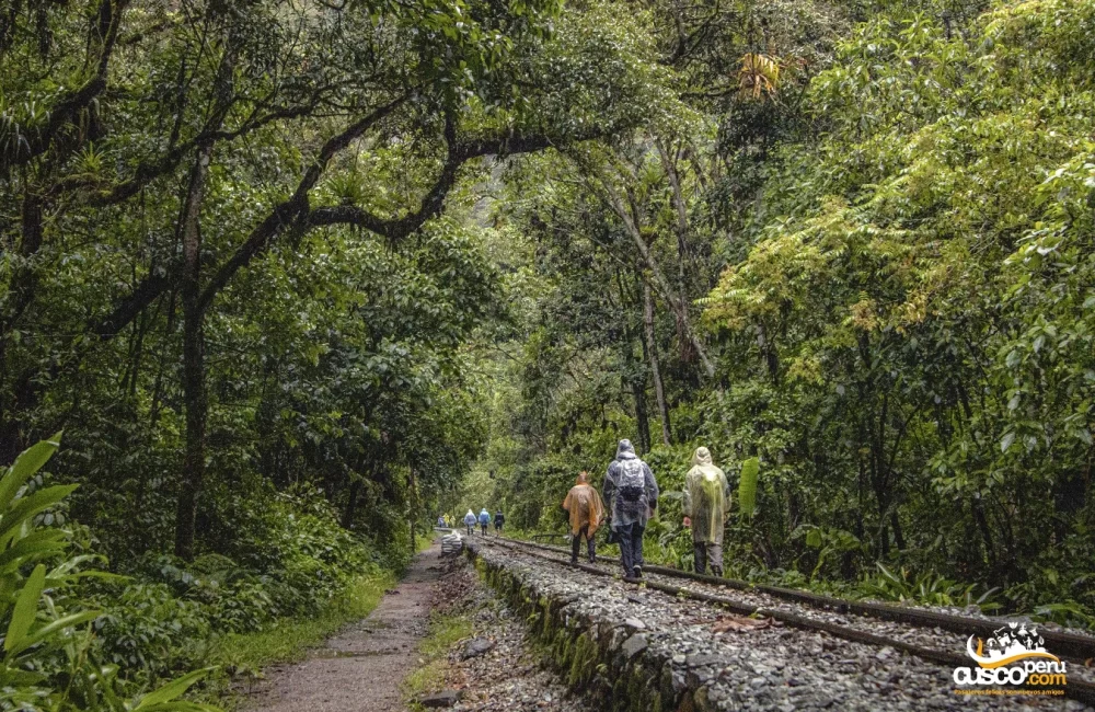 Caminhada até a hidrelétrica