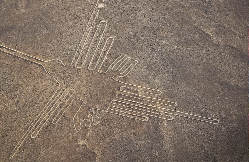 Linhas de Nazca, o beija-flor