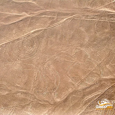 Figura de macaco nas linhas de Nazca